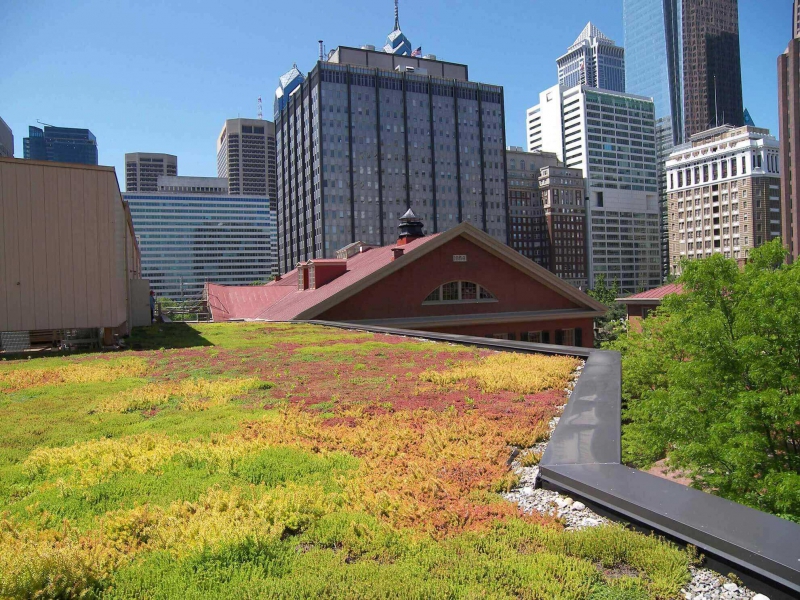 paysagiste-HYERES-min_green-roof-portfolio-4